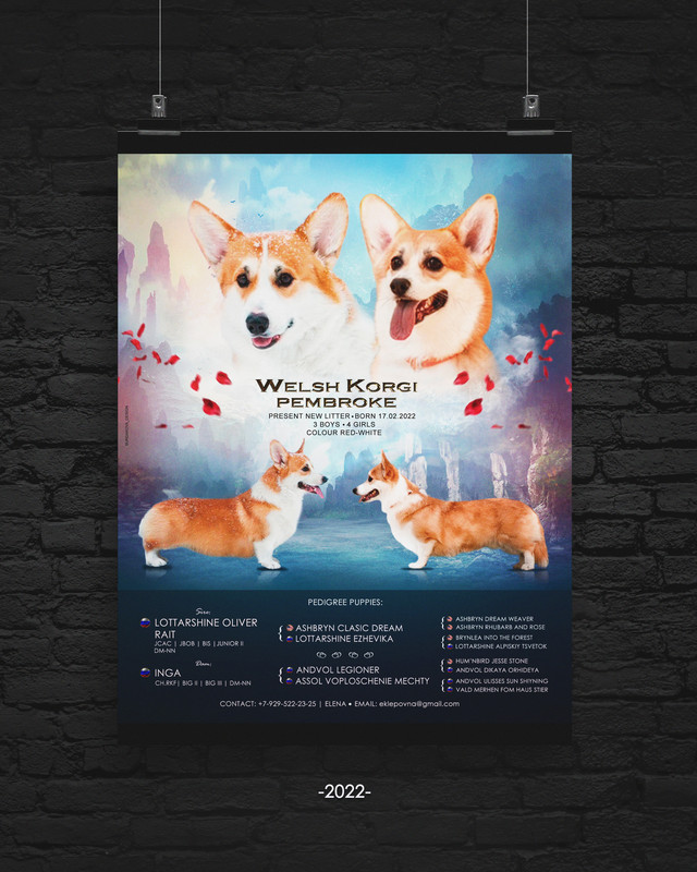 Poster-Dark-by-Don-Design (3)