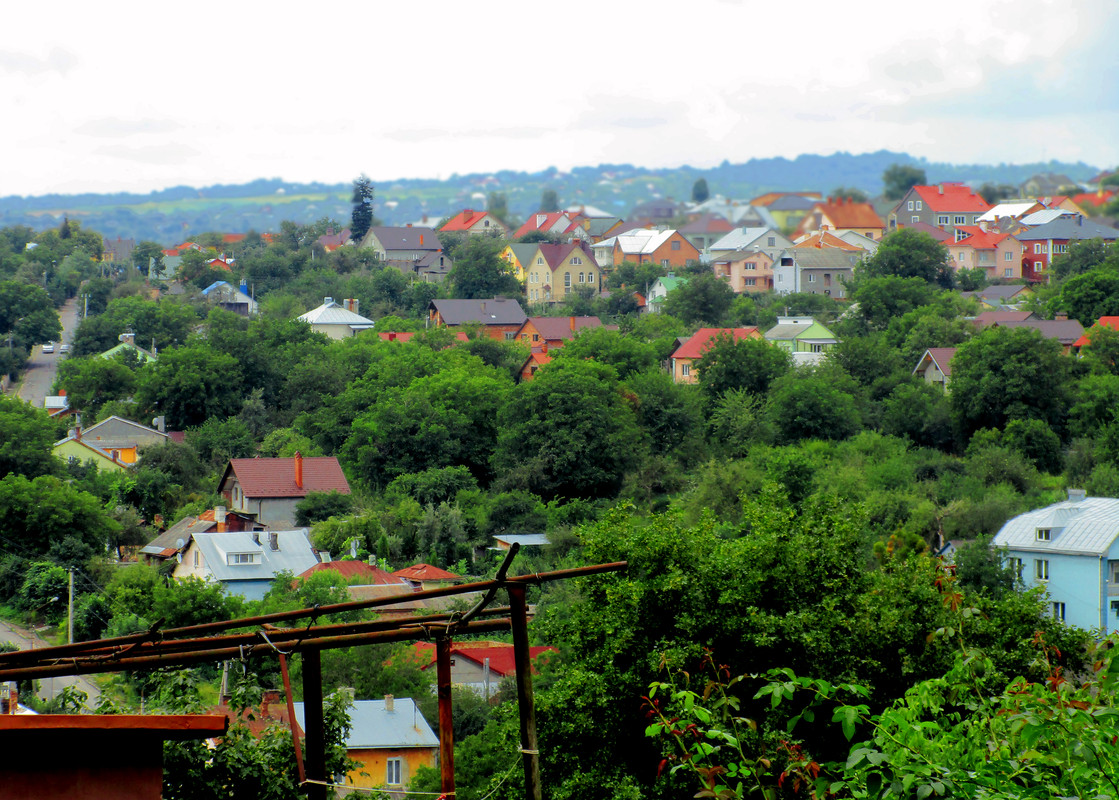 IMG-0228-1