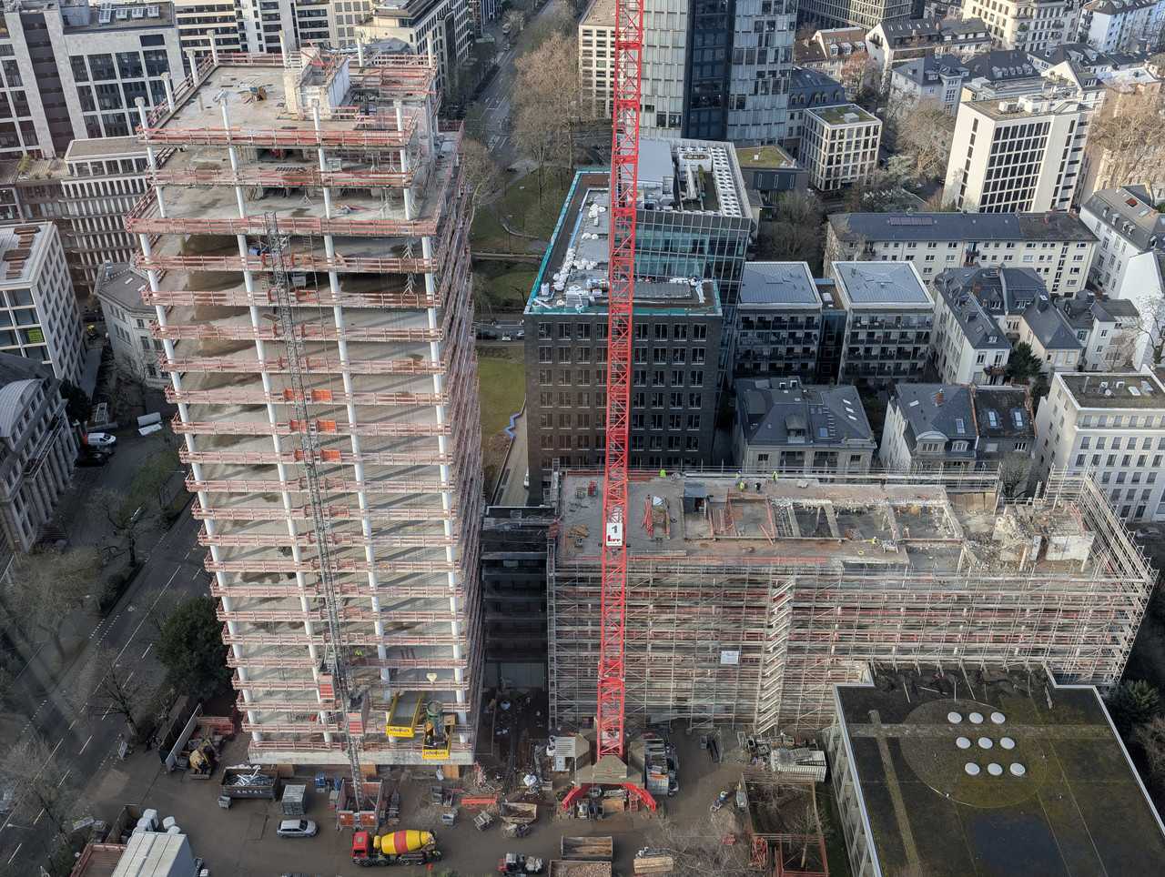 PXL 20260115 110234988