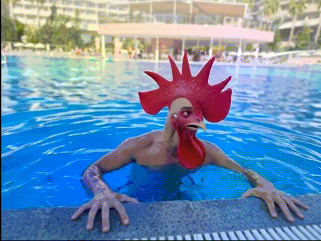 [Image: pp.gif]
