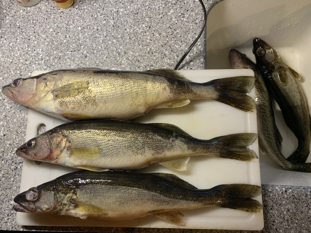 AA771130-0C69-4797-868E-003721CC8814