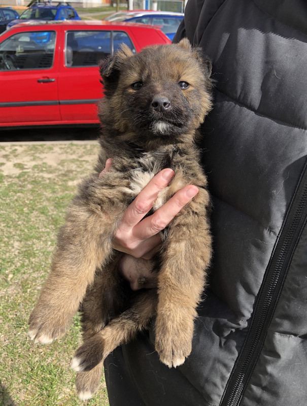 A51D7C0C-B121-4C14-92FD-45692963B402