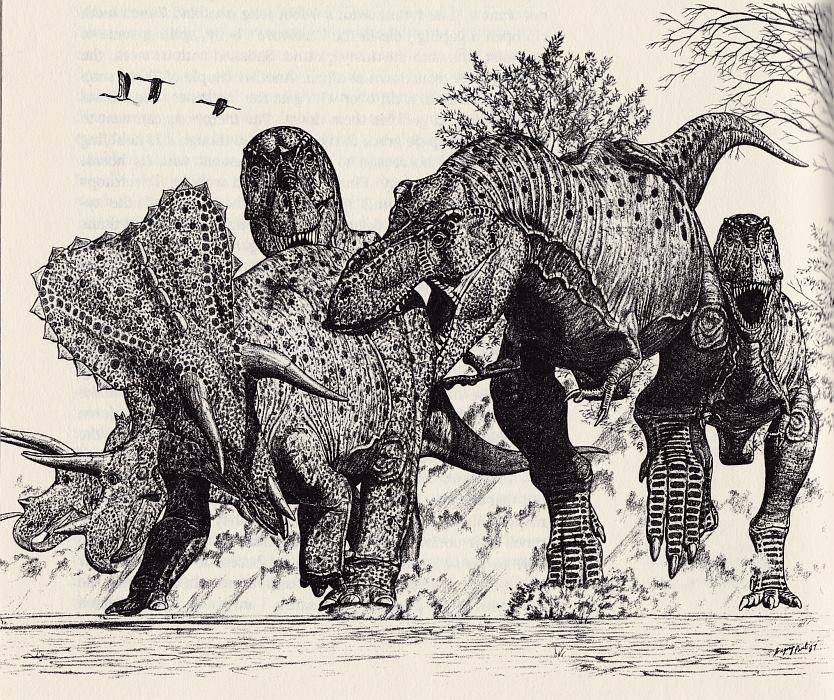 291bd11c4703e265e9ed50d09c8aae9b