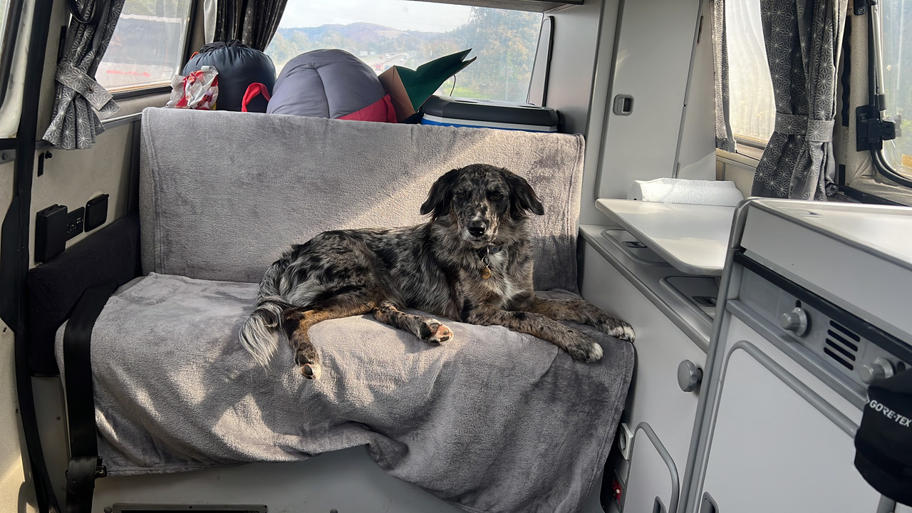 22CB724A A542 4027 979A 13F6A5F6771E