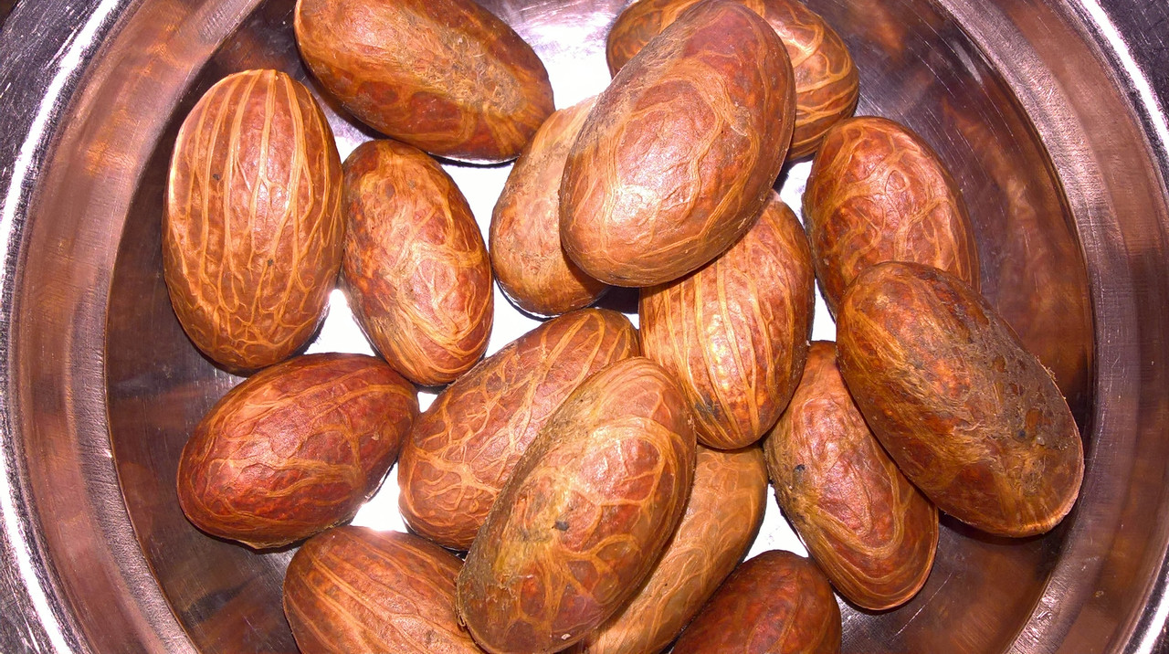 WP_20190516_11_51_15_Rich_LI