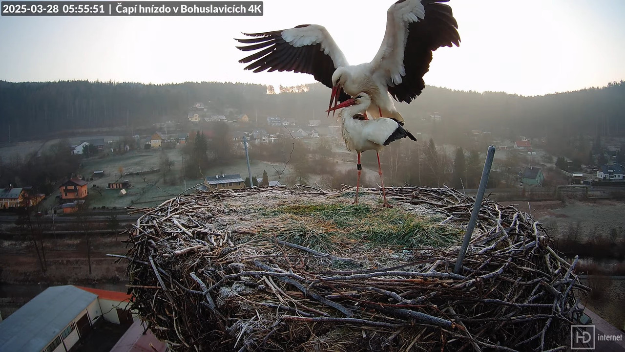 Živě z čapího komína firmy KARA v Bohuslavicích u Trutnova 6-28-5 screenshot