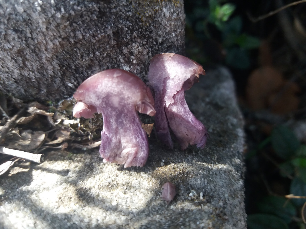 D7AEC17D-77CD-4DA2-A85F-C250D2E6B511