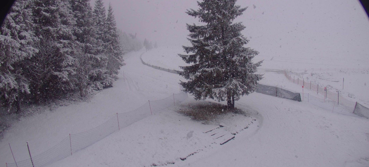 les-estables-ski-nordique-2025-03-10-16-