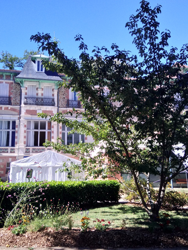 [Image: IMG-20200908-141208.jpg]