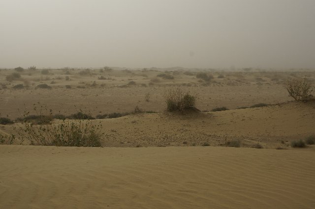INDIA Y NEPAL POR LIBRE: 21 INTENSOS DIAS Y UNA TOTAL AVENTURA - Blogs de Sub Continente Indio - Día 17: Jaisalmer: Excursión al Desierto del Thar (5)
