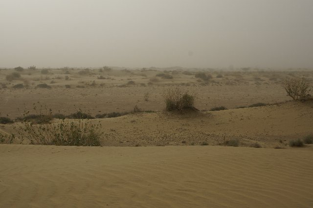 Día 17: Jaisalmer: Excursión al Desierto del Thar - INDIA Y NEPAL POR LIBRE: 21 INTENSOS DIAS Y UNA TOTAL AVENTURA (5)