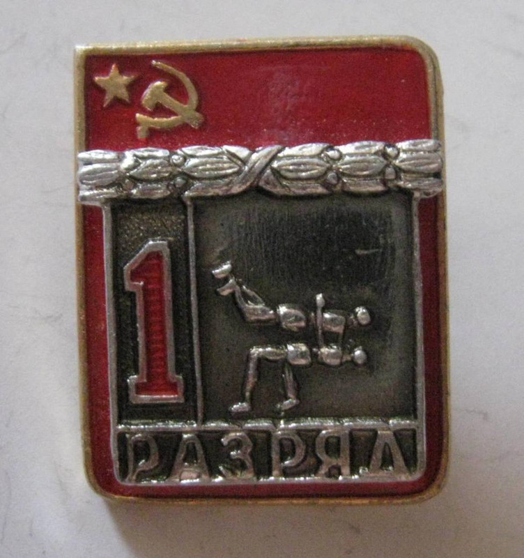 Первый Разряд Лыжи Значок Купить В Казани