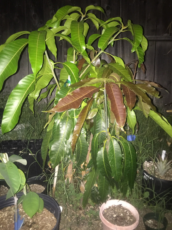 F69658B9-A542-4DDB-B781-5F62560D26CD