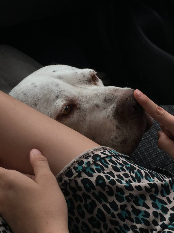 B86F962F-6106-4C9E-9EE6-CD1E1F598F79