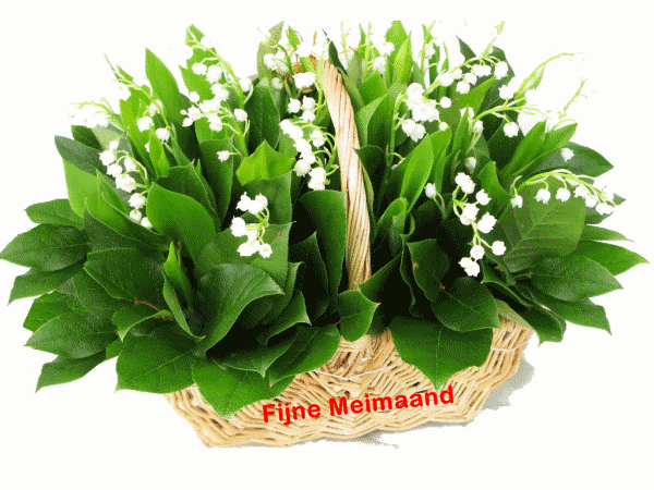 welkom opblog Bunic Jos