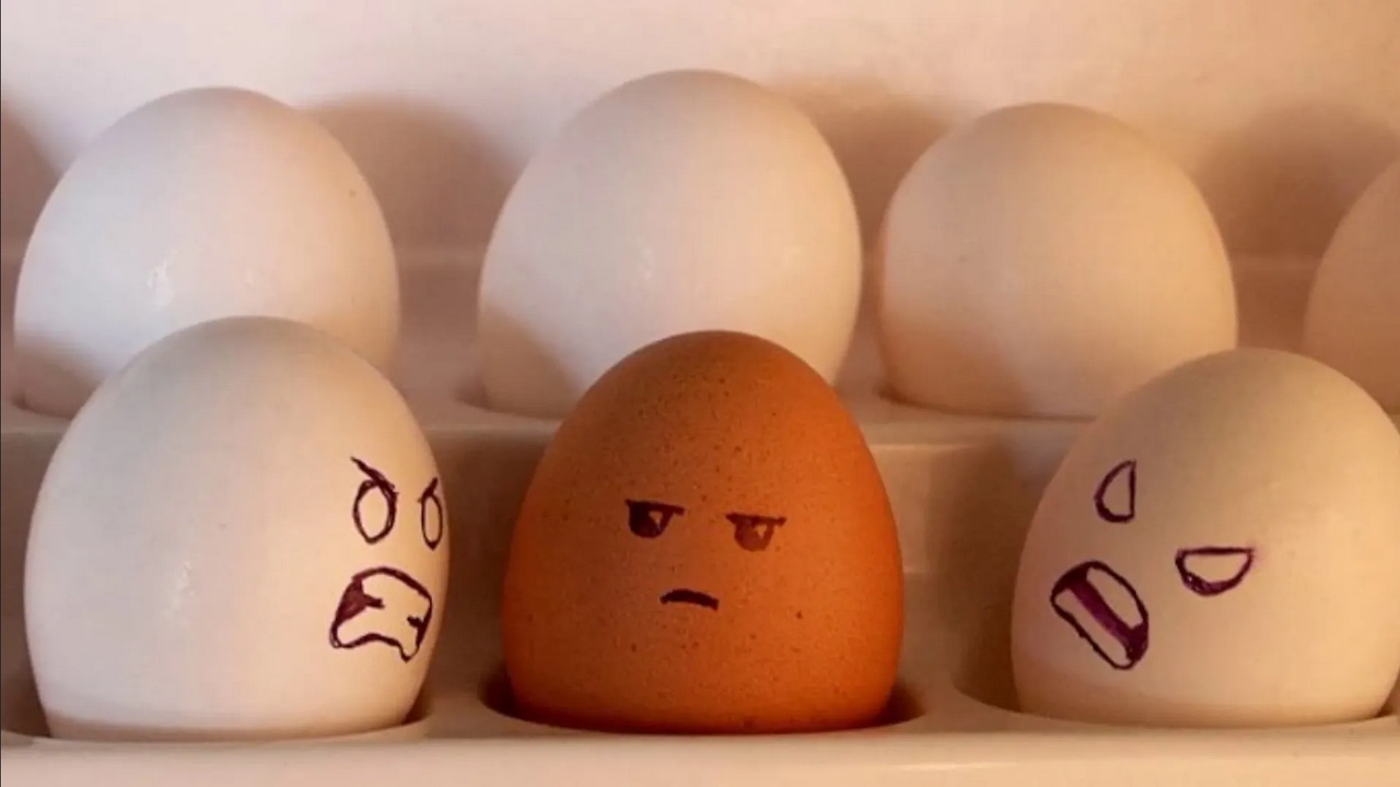¿Qué diferencia hay entre el huevo colorado y el huevo blanco?