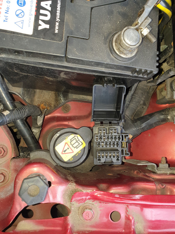 20200613_155759_resized_1 (1)