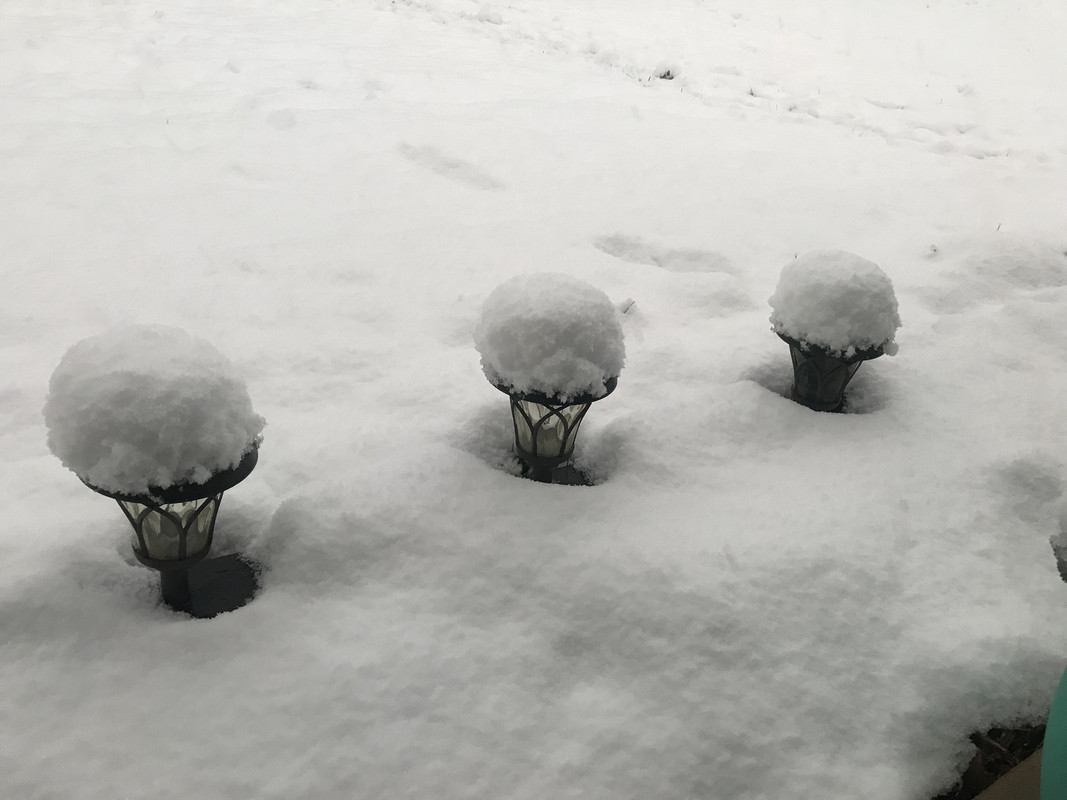 5206D262-7D64-4423-9E65-8F529F764204