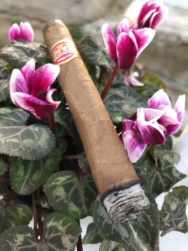 225780D9-07A9-4AC3-9DDD-64F4B07BFB74