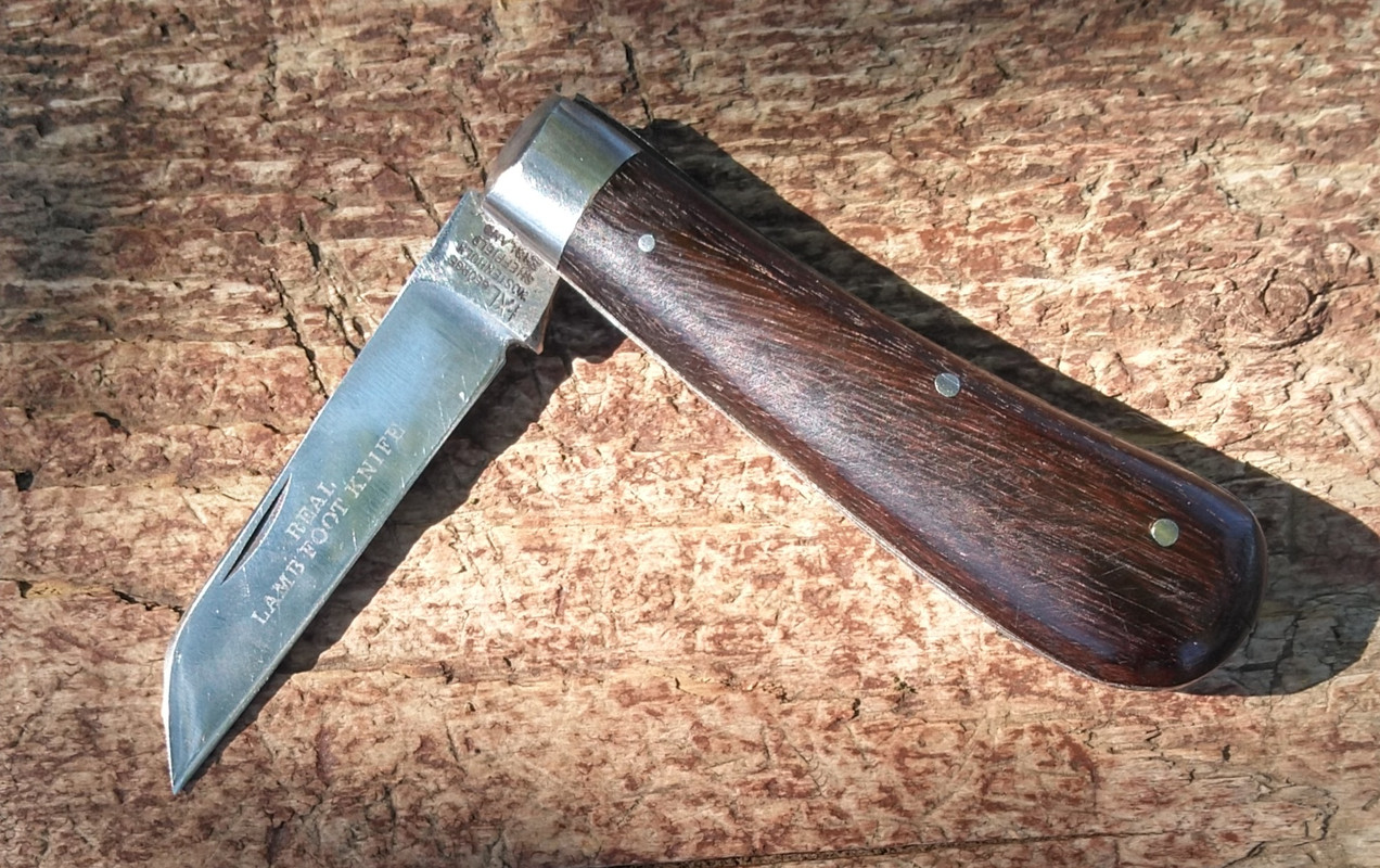 KIMG9434-2.jpg