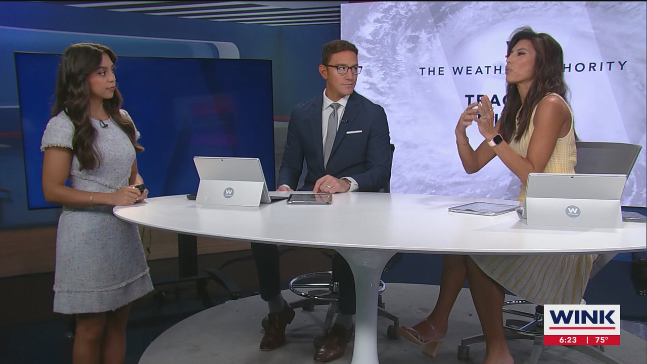 WINK News at 600am_20241008_11001130.ts_snapshot_24.24.423