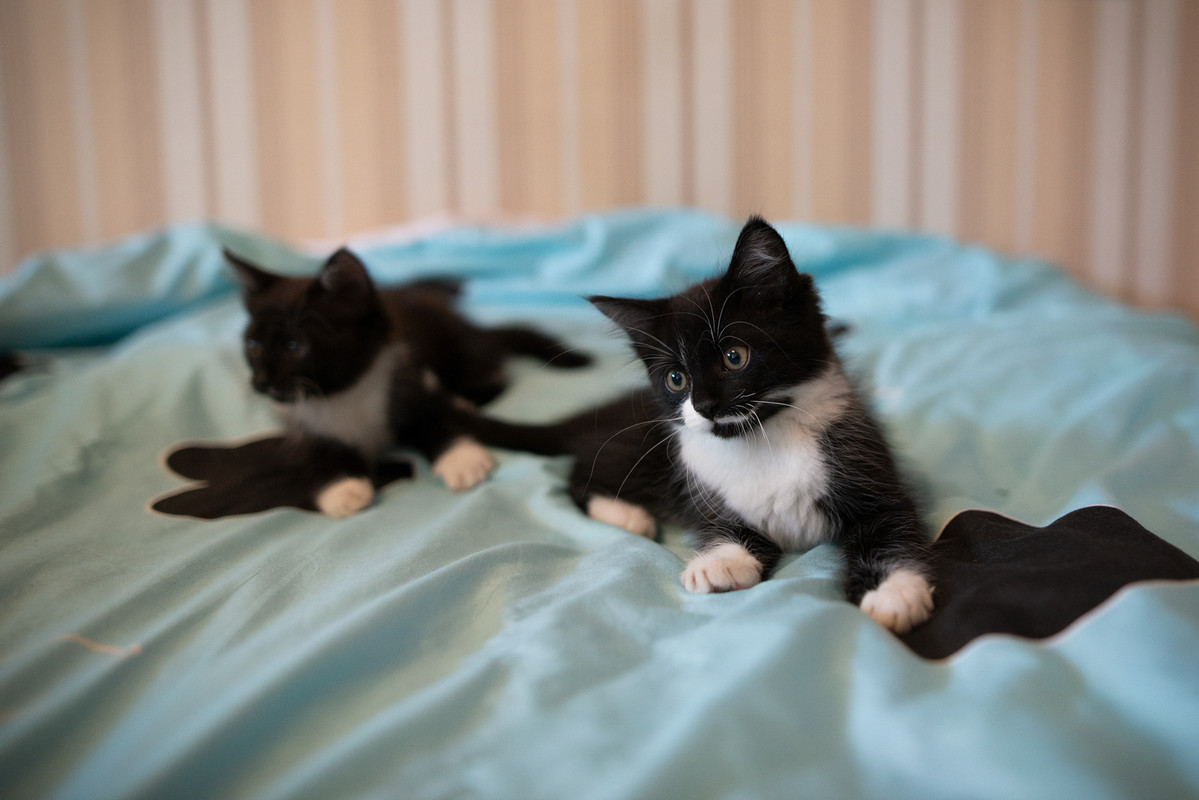 7684998B-6F3B-4028-A2F1-5020F26759FB