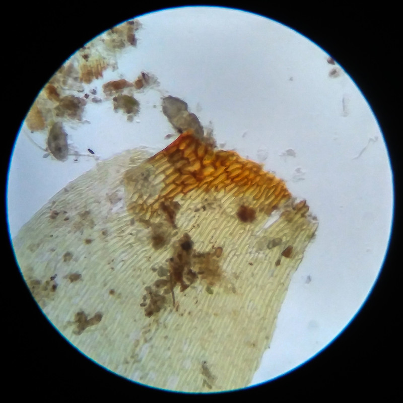 IMG 20250617 105502 HDR