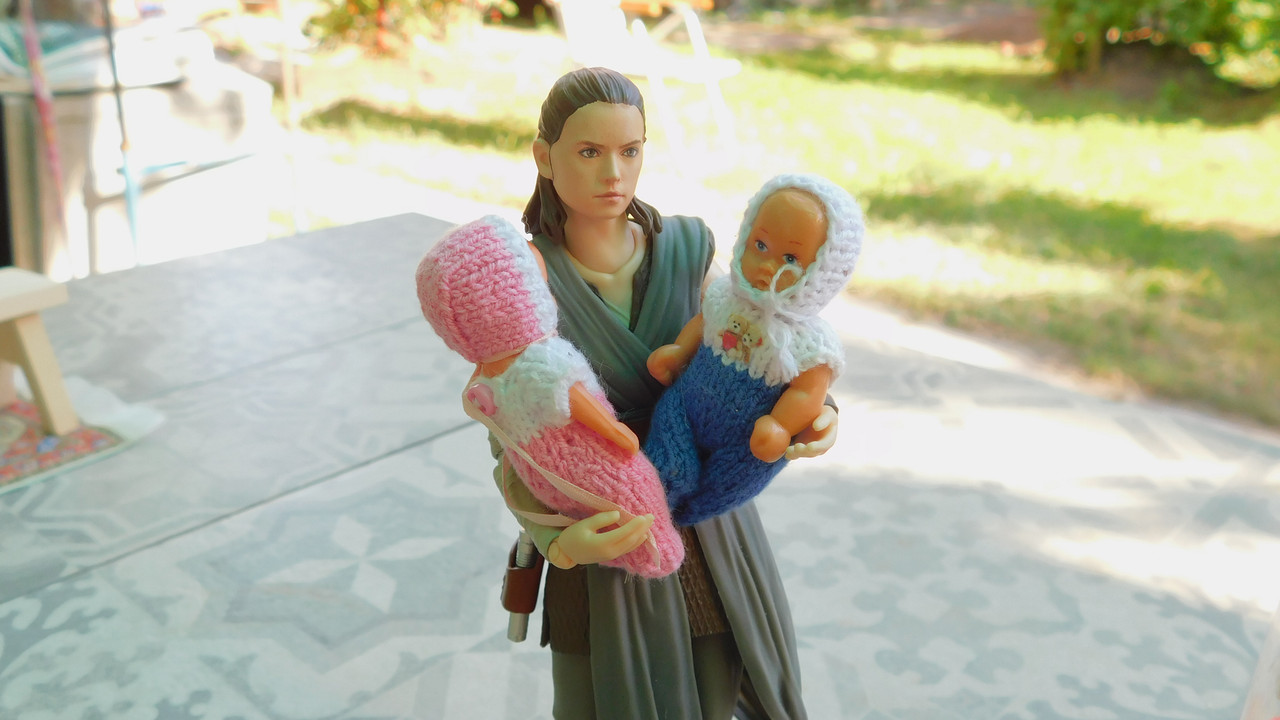 Дачно-Харлинский июнь-июль 2024 167