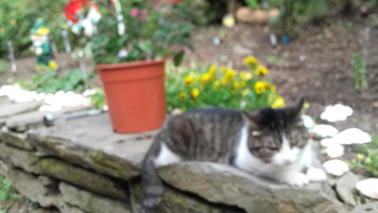 727DF0D7-F217-4289-99AD-30F987CB6897