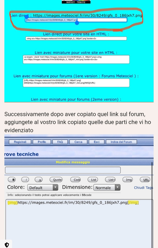 Immagine