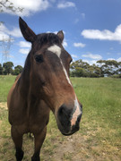 2FE64B41-67EB-4062-8892-04646FD39064