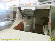 IMG-8398