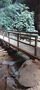 01-(100)