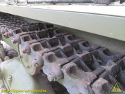 IMG-8221