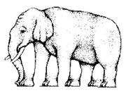 Picture2