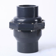 Flap Check Valve Real Photo
