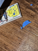 [Image: 20250816-060606.jpg]