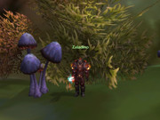 WoWScrnShot_122523_160004