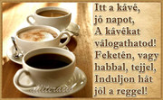 https://i.postimg.cc/KkBLzg77/4171f274b1bac58c27da9b46e36fcc57.jpg