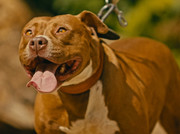 Screenshot_20230710_170343_Gallery