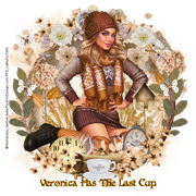 6381136223889396762639826