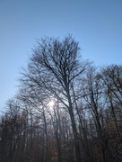 PXL 20260207 132247975