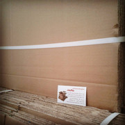 carton-mohammad (118)