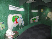 IMG-7656.jpg