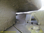 IMG-0262