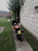 Posted Image