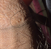 IMG-0500