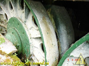 DSCN0183