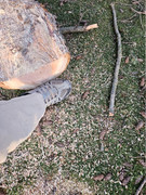 [Image: 20251219-153517.jpg]