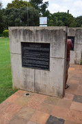 DSC-0011